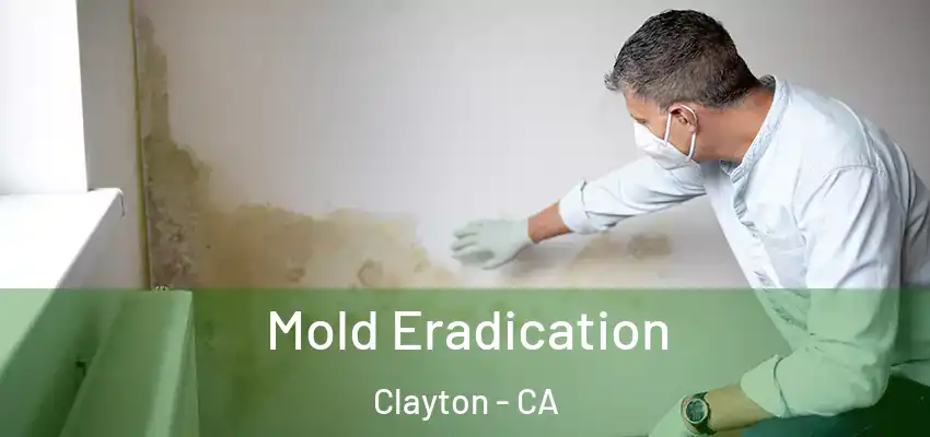  Mold Eradication Clayton - CA