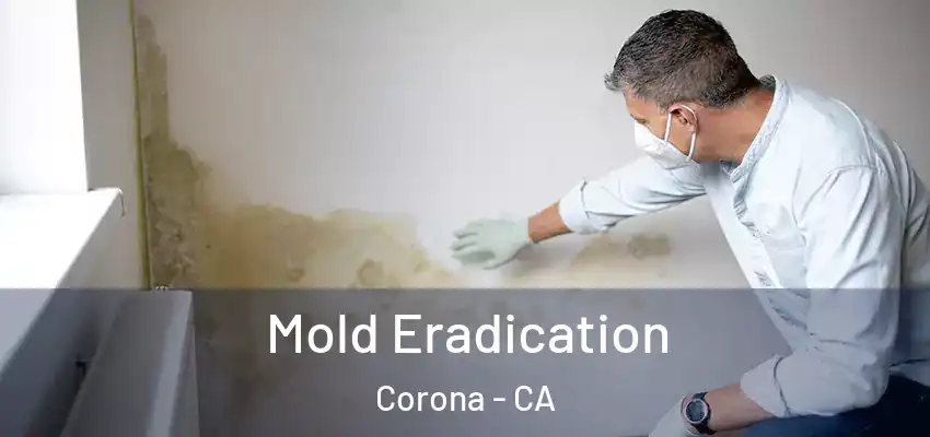  Mold Eradication Corona - CA