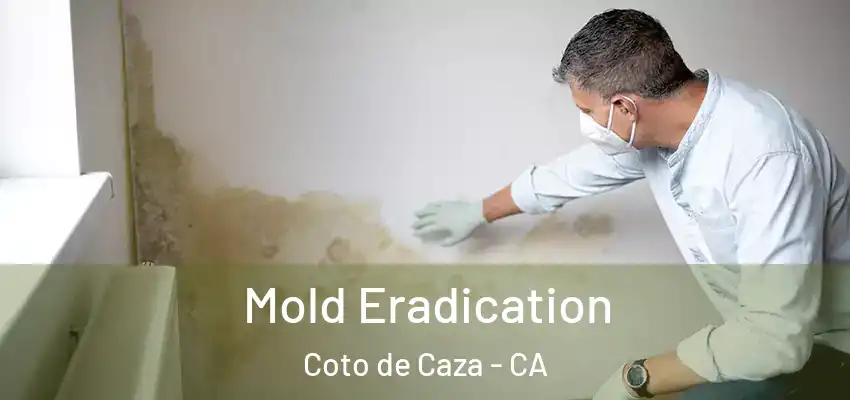  Mold Eradication Coto de Caza - CA