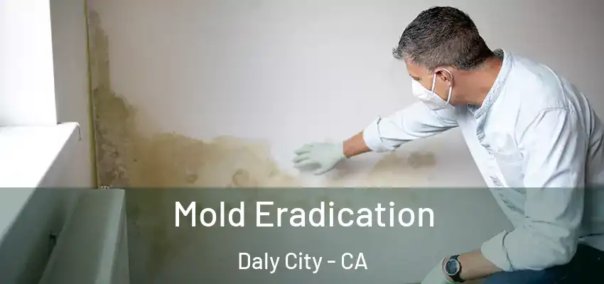  Mold Eradication Daly City - CA