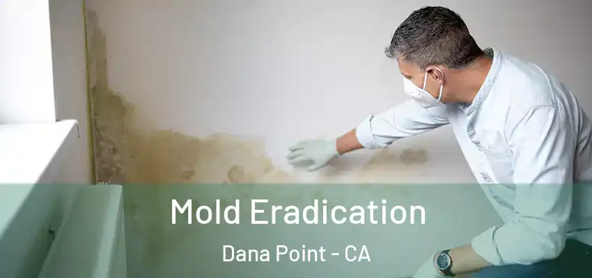  Mold Eradication Dana Point - CA