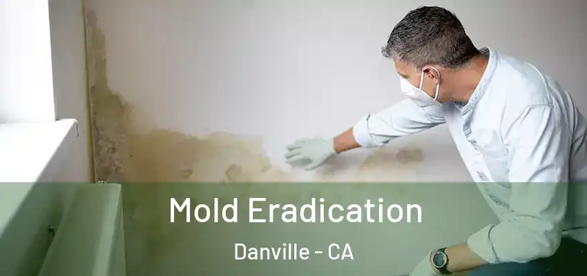 Mold Eradication Danville - CA