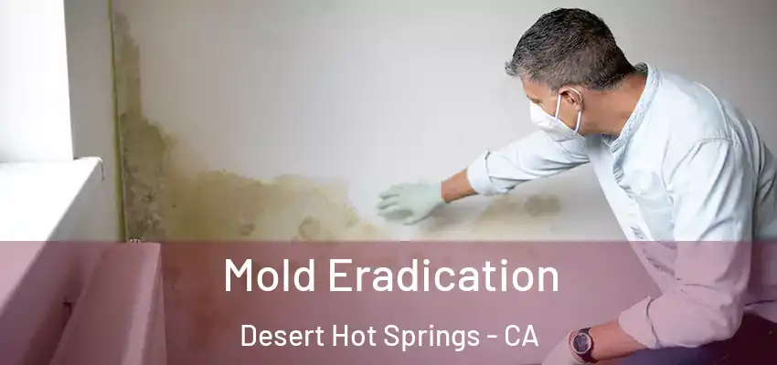  Mold Eradication Desert Hot Springs - CA