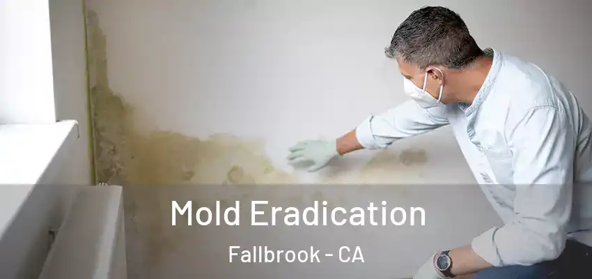  Mold Eradication Fallbrook - CA