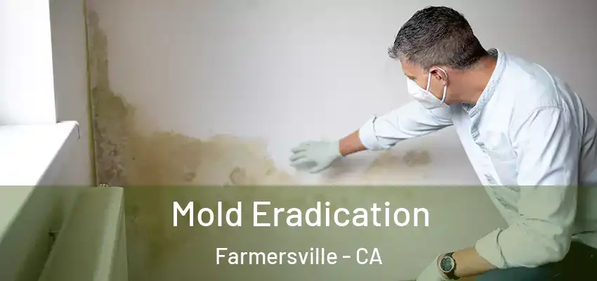 Mold Eradication Farmersville - CA