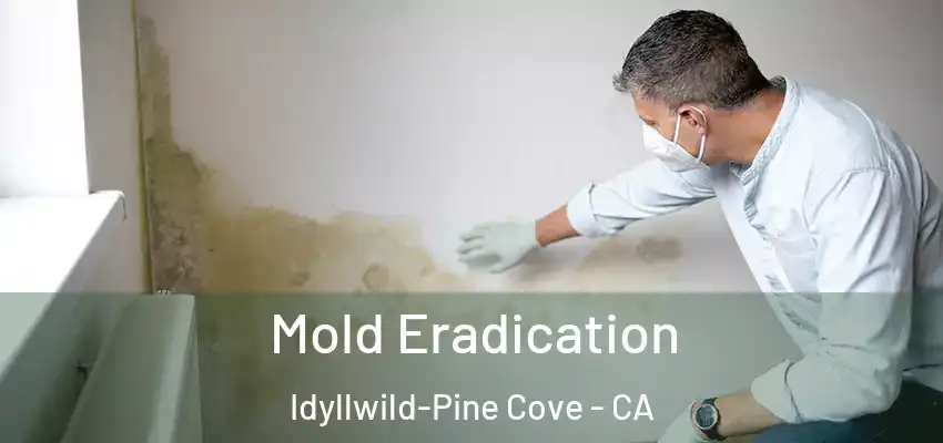 Mold Eradication Idyllwild-Pine Cove - CA