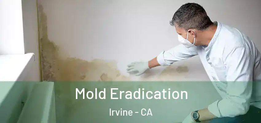  Mold Eradication Irvine - CA