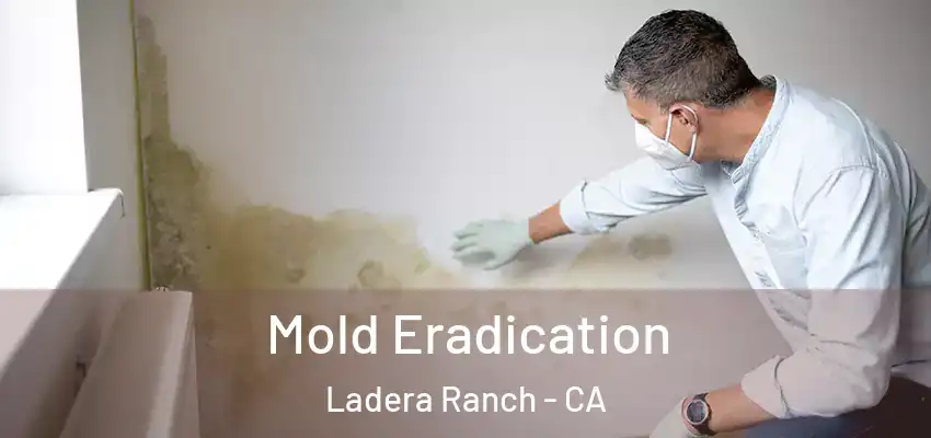  Mold Eradication Ladera Ranch - CA