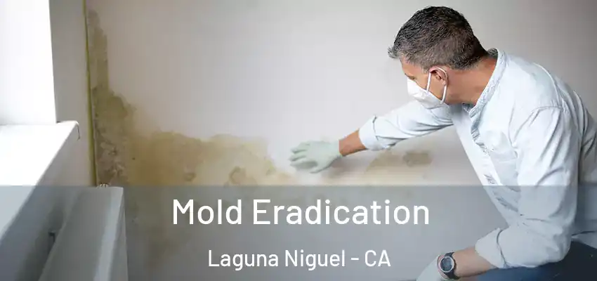 Mold Eradication Laguna Niguel - CA