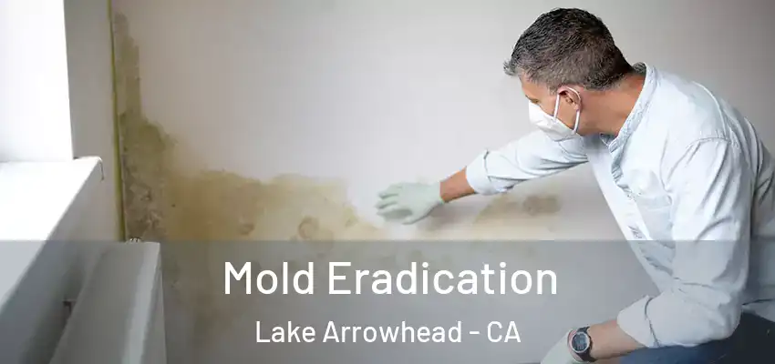 Mold Eradication Lake Arrowhead - CA