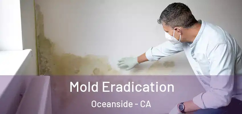  Mold Eradication Oceanside - CA