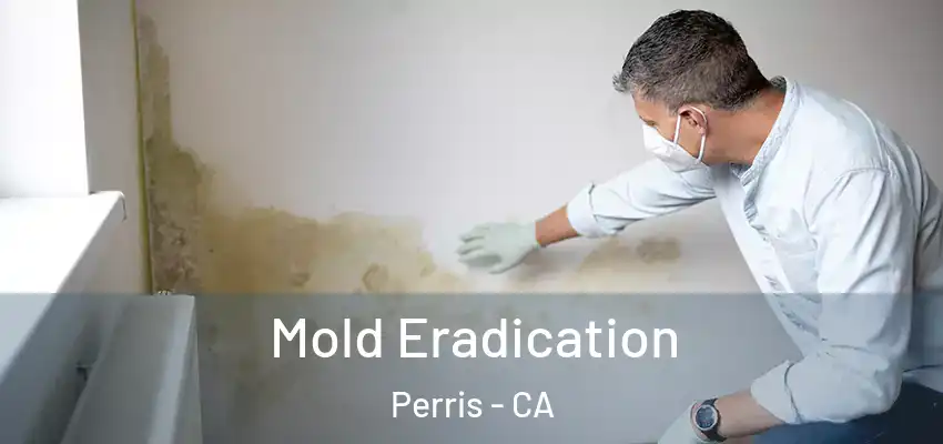  Mold Eradication Perris - CA