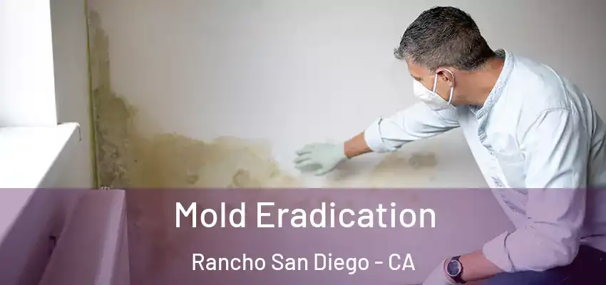  Mold Eradication Rancho San Diego - CA