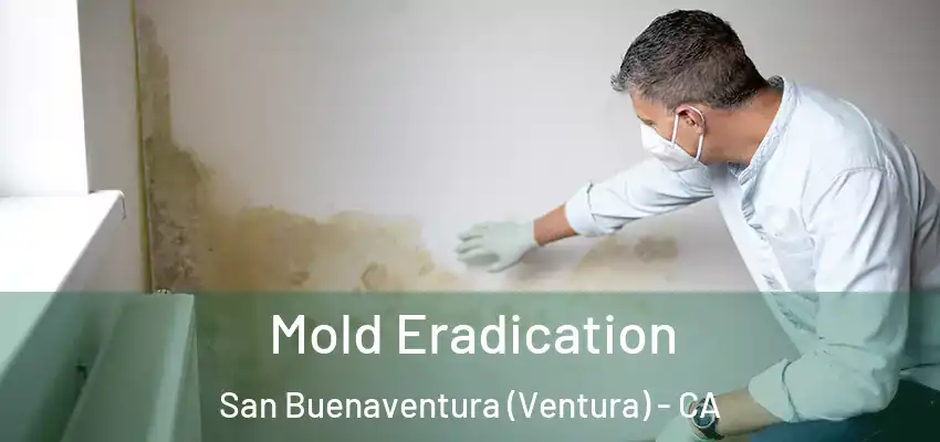  Mold Eradication San Buenaventura (Ventura) - CA