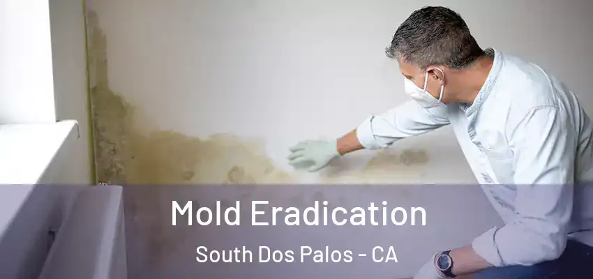  Mold Eradication South Dos Palos - CA