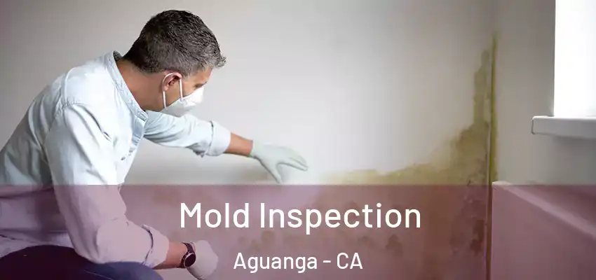  Mold Inspection Aguanga - CA