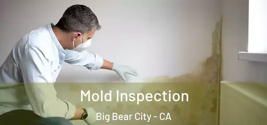  Mold Inspection Big Bear City - CA