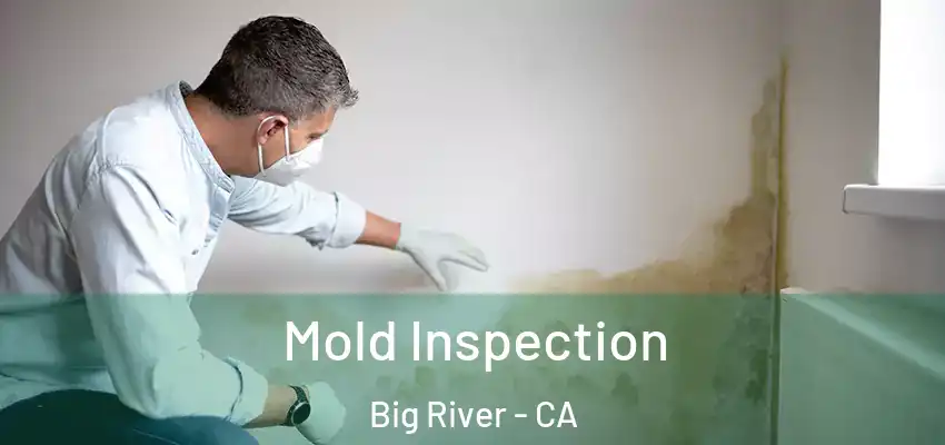  Mold Inspection Big River - CA