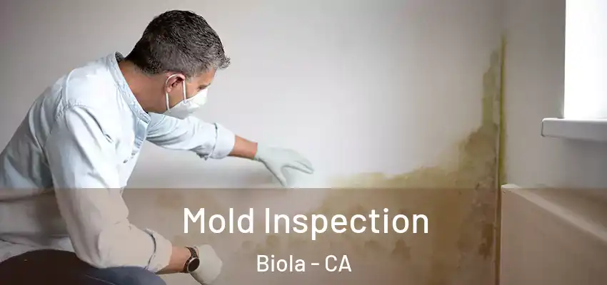 Mold Inspection Biola - CA