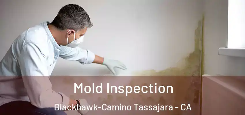  Mold Inspection Blackhawk-Camino Tassajara - CA