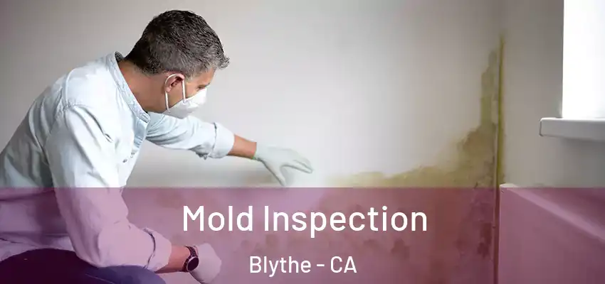  Mold Inspection Blythe - CA