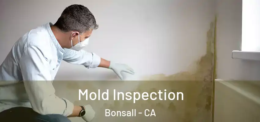  Mold Inspection Bonsall - CA