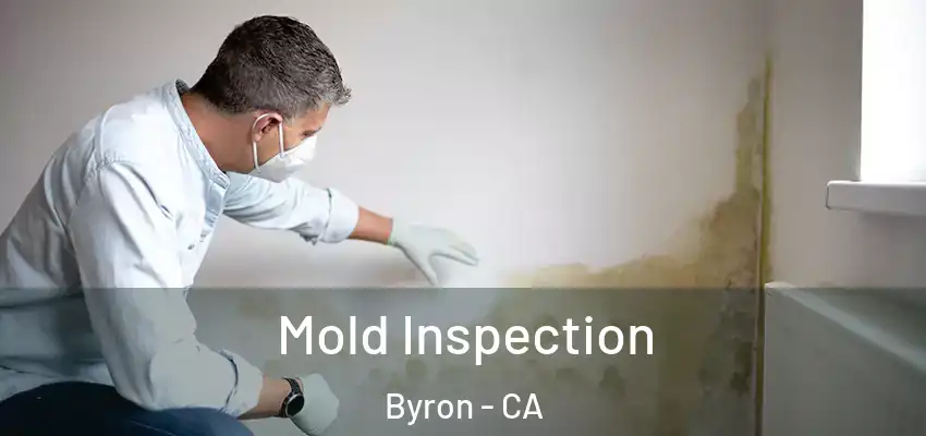 Mold Inspection Byron - CA