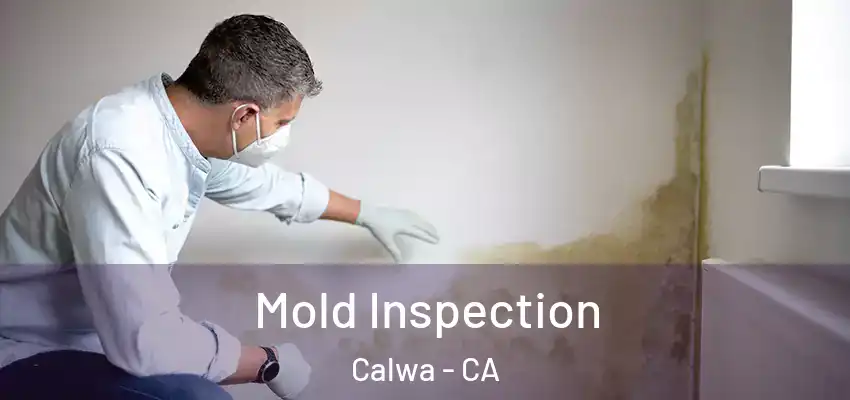  Mold Inspection Calwa - CA