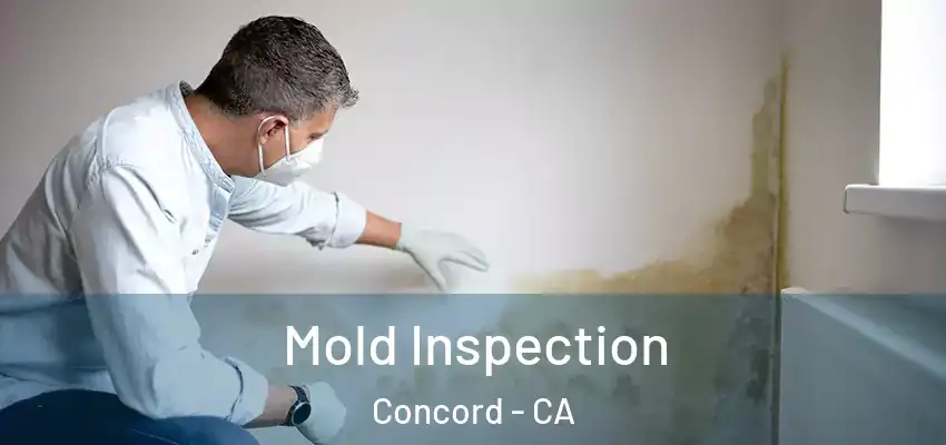  Mold Inspection Concord - CA