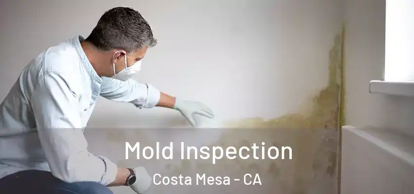 Mold Inspection Costa Mesa - CA