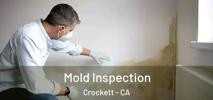  Mold Inspection Crockett - CA