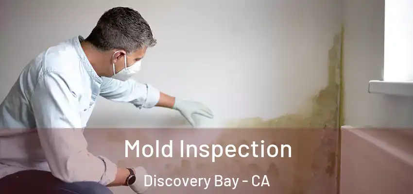 Mold Inspection Discovery Bay - CA