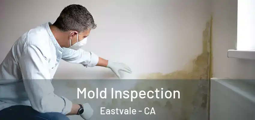  Mold Inspection Eastvale - CA