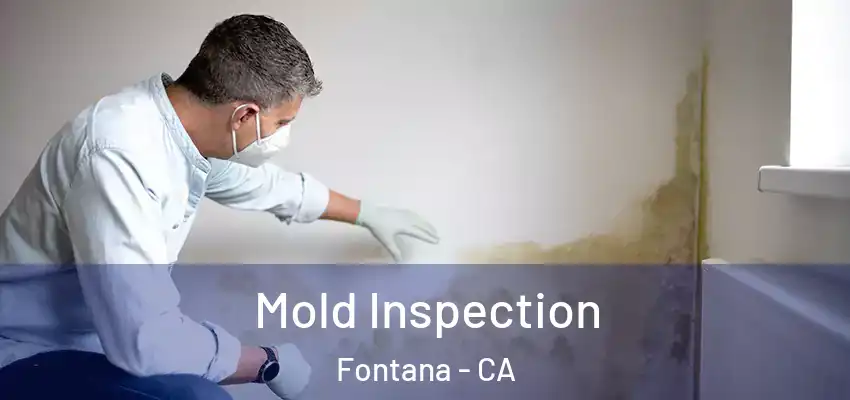 Mold Inspection Fontana - CA