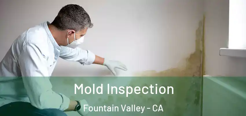 Mold Inspection Fountain Valley - CA