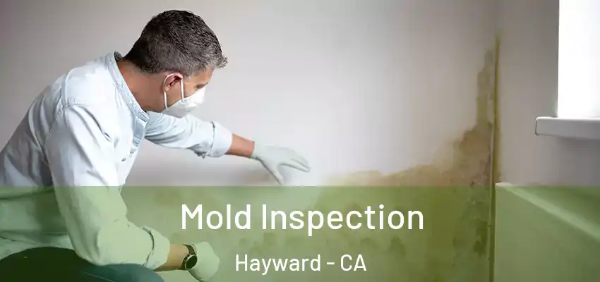 Mold Inspection Hayward - CA