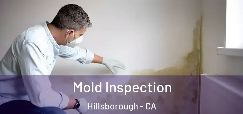  Mold Inspection Hillsborough - CA