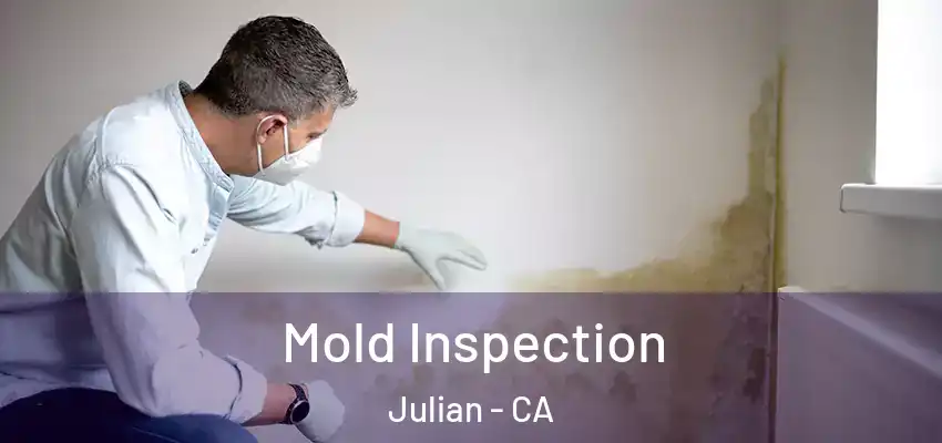  Mold Inspection Julian - CA