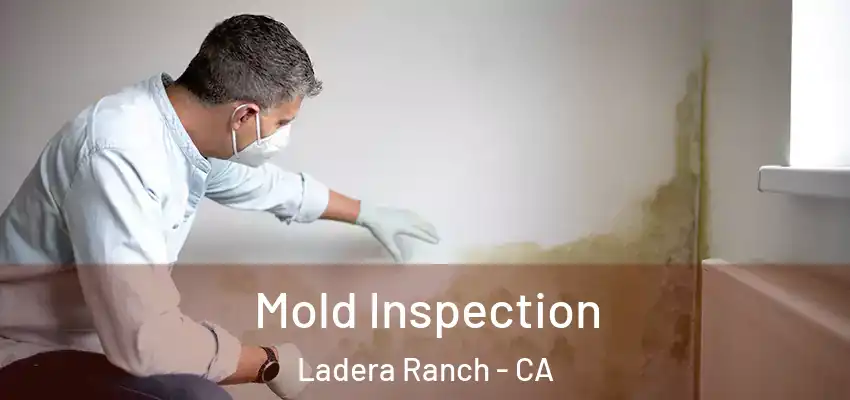  Mold Inspection Ladera Ranch - CA