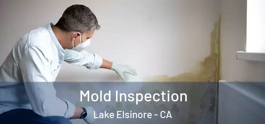  Mold Inspection Lake Elsinore - CA