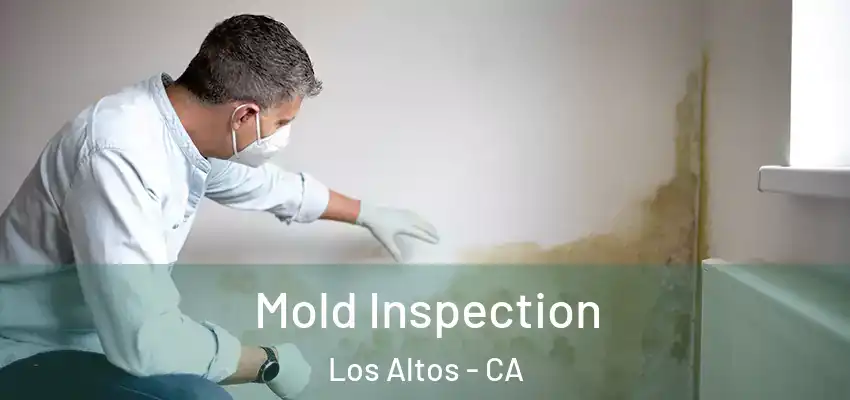  Mold Inspection Los Altos - CA
