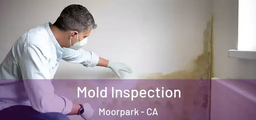 Mold Inspection Moorpark - CA