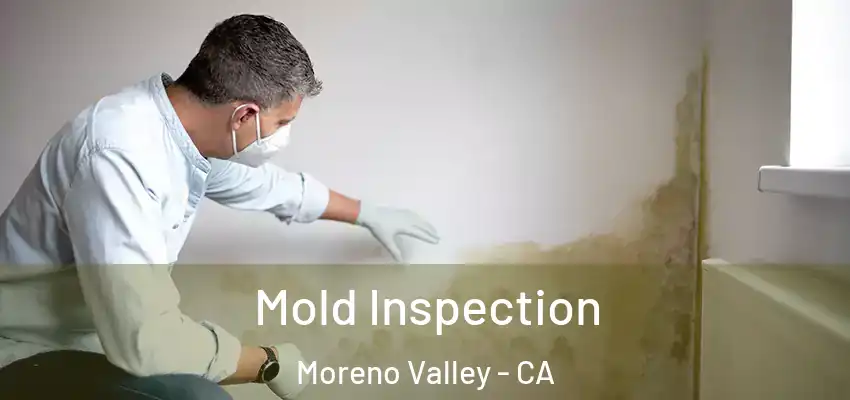  Mold Inspection Moreno Valley - CA