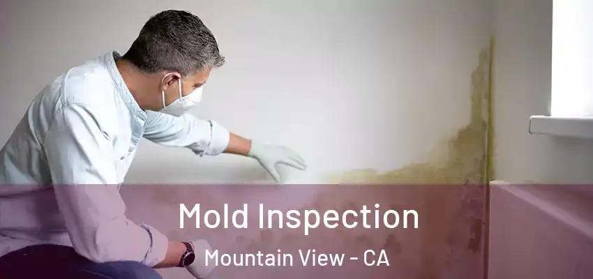  Mold Inspection Mountain View - CA