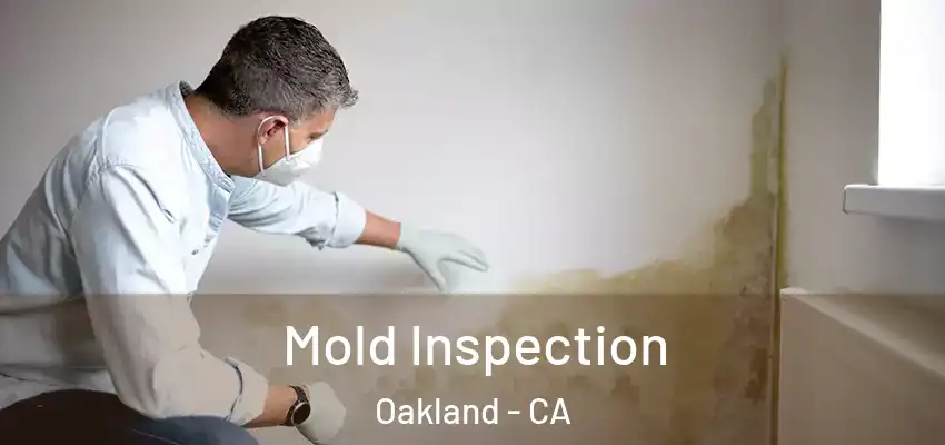  Mold Inspection Oakland - CA