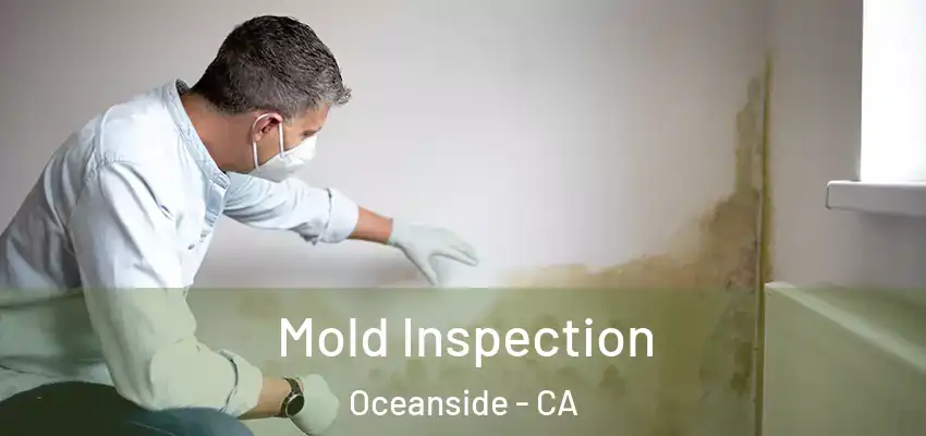  Mold Inspection Oceanside - CA
