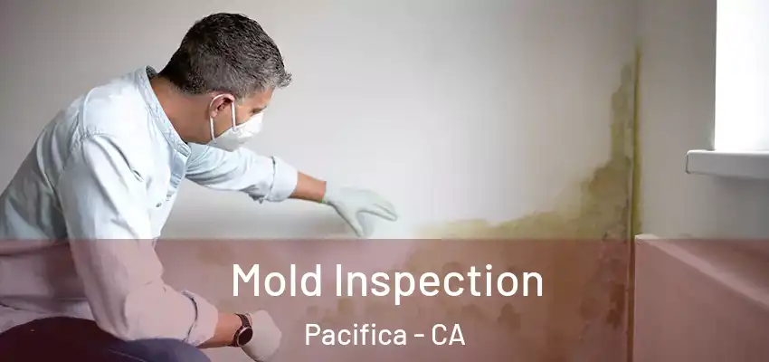  Mold Inspection Pacifica - CA