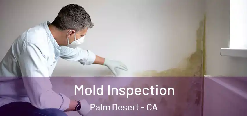  Mold Inspection Palm Desert - CA