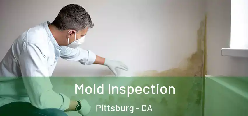 Mold Inspection Pittsburg - CA