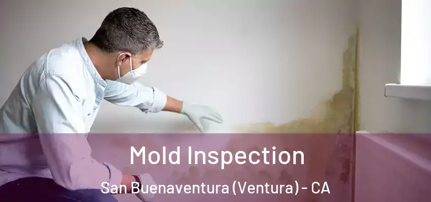  Mold Inspection San Buenaventura (Ventura) - CA